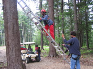 camp 154