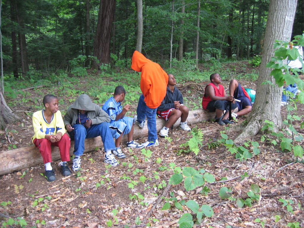 camp 217